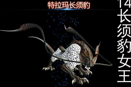 ff14长须豹女王