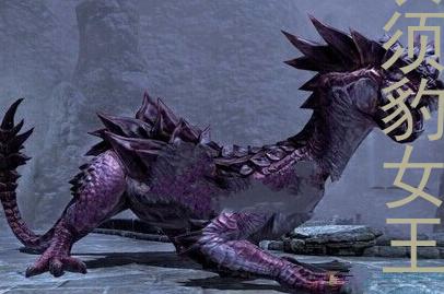 ff14长须豹女王